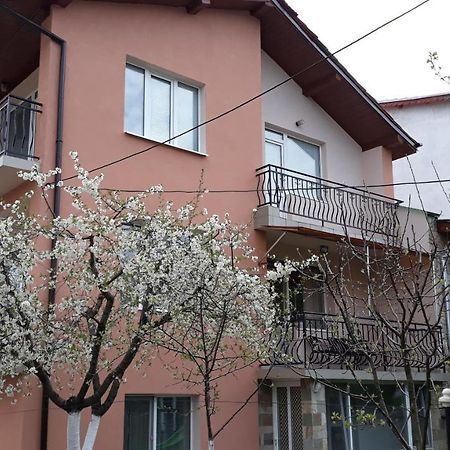 Вила Багрянови Dospat Exterior photo